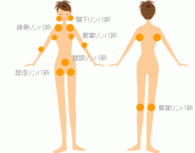 下のソーシャルリンクからフォロー