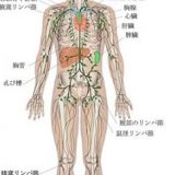 メラノーマ（悪性黒色腫）や乳がんの手術前に行うセンチネルリンパ節シンチの仕組み