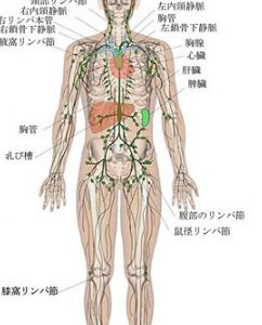 メラノーマ（悪性黒色腫）や乳がんの手術前に行うセンチネルリンパ節シンチの仕組み