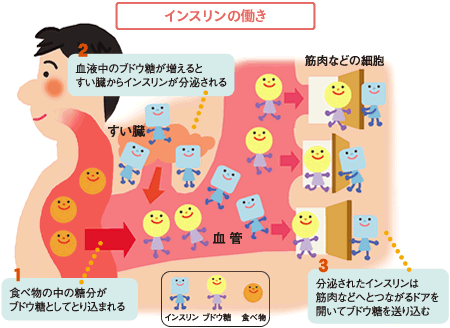 インスリンの働きの図
