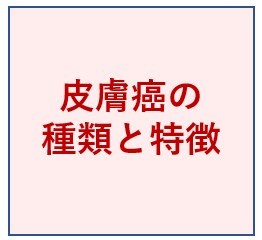 皮膚癌の種類と特徴について