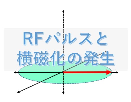 【MRI基礎知識】RFパルスと横磁化が生まれる仕組み